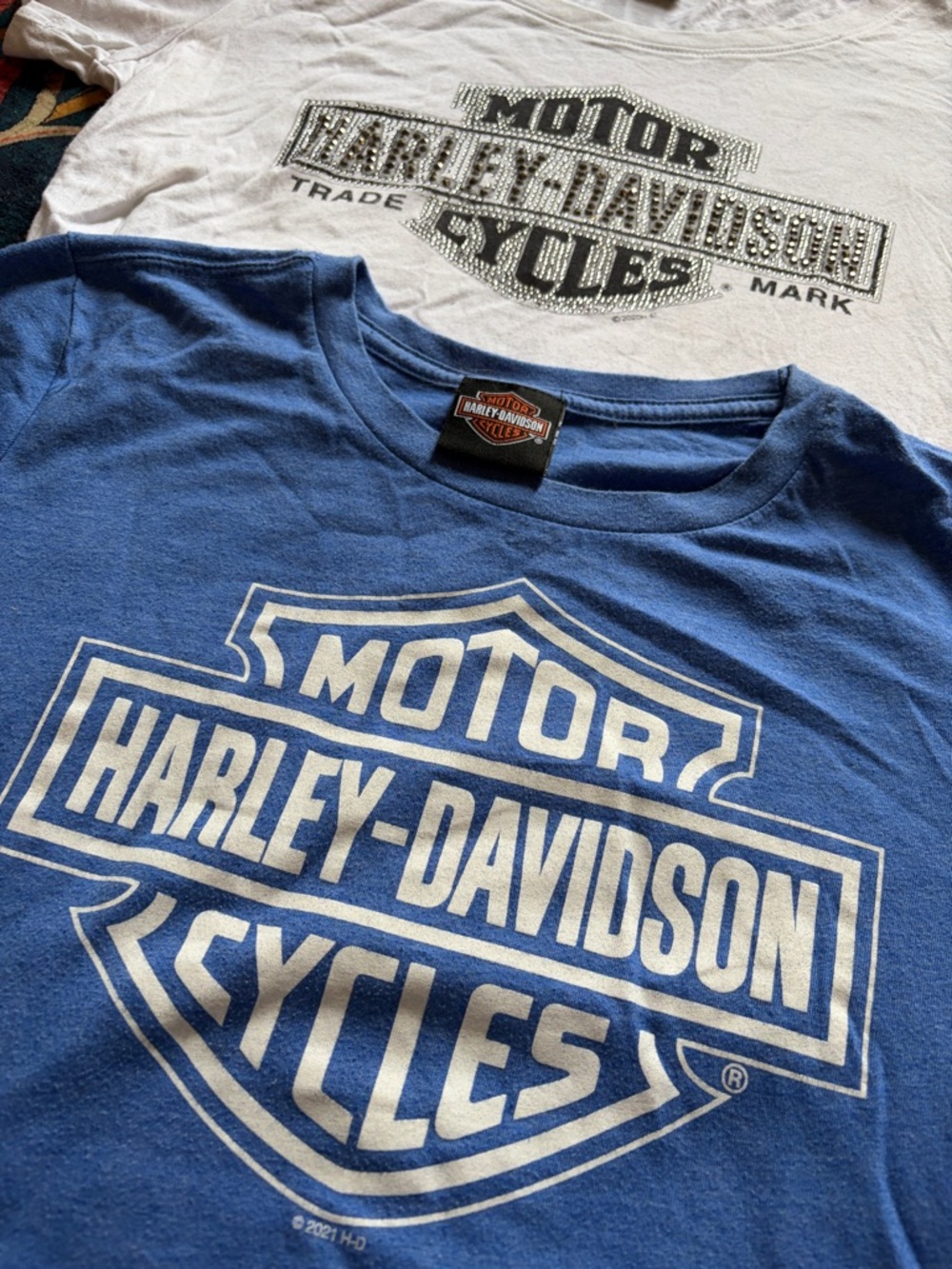 Harley-Davidson Blue and White Logo Tee Duo